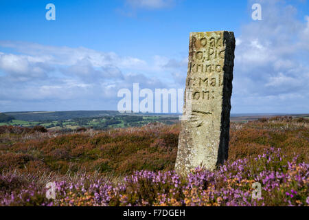 Handstone su Blakey Ridge North York Moors National Park North Yorkshire England Regno Unito Foto Stock