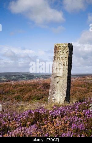 Handstone su Blakey Ridge North York Moors National Park North Yorkshire England Regno Unito Foto Stock