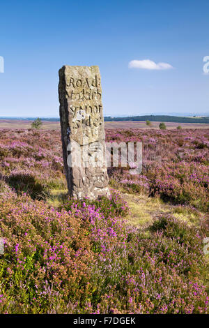 Handstone su Blakey Ridge North York Moors National Park North Yorkshire England Regno Unito Foto Stock