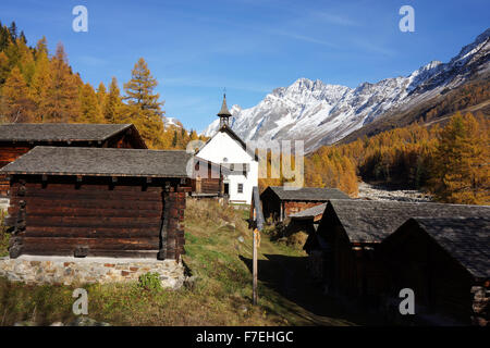 Kühmad, Lötschental, in autunno, larici, Alpi del Vallese, Svizzera Foto Stock