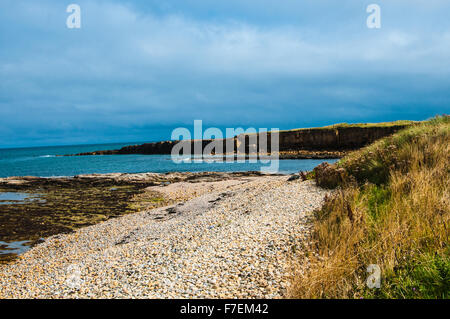 Una passeggiata lungo la spiaggia del litorale seahouses Northumberland Inghilterra Europa Ray Boswell Foto Stock