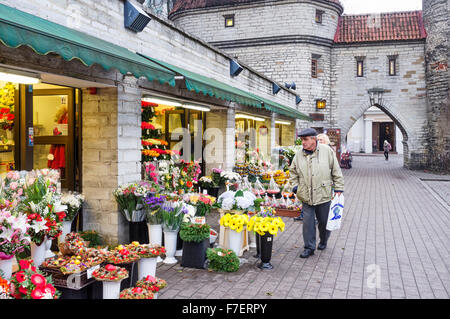 Il mercato dei fiori all'ingresso della città vecchia di Tallinn, Estonia Foto Stock