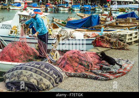 Tirare o guerra: pescatore tira le sue reti cattura l'attenzione del gatto locale! Foto Stock