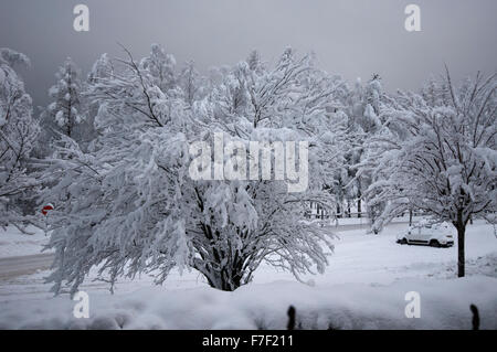 Coperta di neve alberi e single 4x4 Fiat Panda nel parcheggio auto parcheggio auto in Early Morning Light Foto Stock