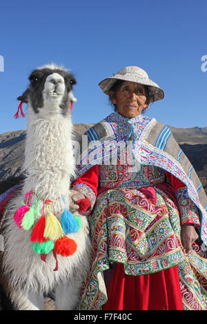 Anziana Donna Peruviana con Llama Foto Stock