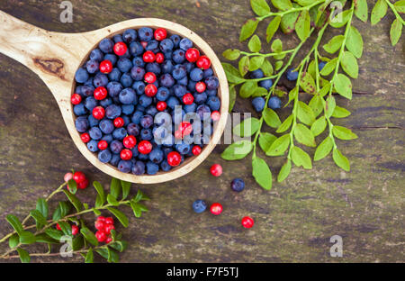 Ciotola di mirtilli e mirtilli rossi con un paio di pianta verde foglie su sfondo di legno Foto Stock