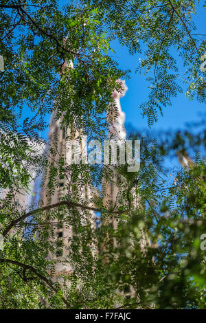 Sagrada Familia Foto Stock