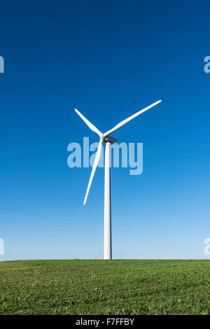 Fattoria eolica, Canastota, New York, Stati Uniti d'America Foto Stock