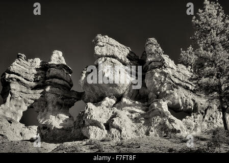 Archi lungo Mossy Creek Trail. Il Parco Nazionale di Bryce, Utah Foto Stock