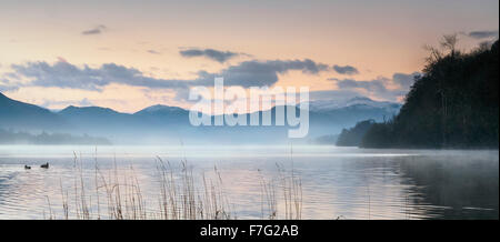 Guardando attraverso una calma Ullswater all'alba con ance in primo piano Foto Stock