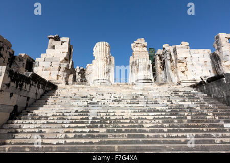 Cortile interno e il Adyton passi nel Tempio di Apollo, Didyma, un antico santuario greco Foto Stock