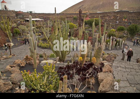 Il Giardino dei Cactus, Jardín de Cactus, César Manrique, cactus, cactus, cactus e piante grasse Foto Stock