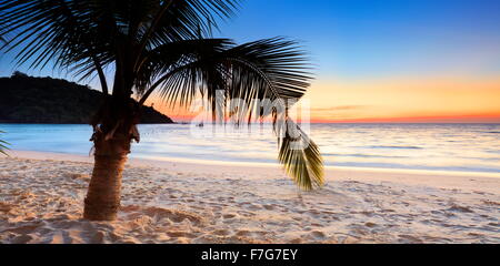 Spiaggia di Koh Samet Island dopo il tramonto, Thailandia Foto Stock