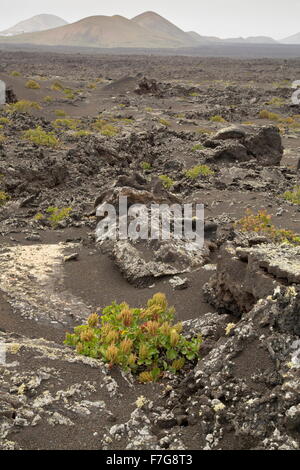 La cueva canal de Pico partido, - un antico flusso di lava e tunnel, - nel Parco Nazionale di Timanfaya / Parque Nacional de Timanfaya, Foto Stock