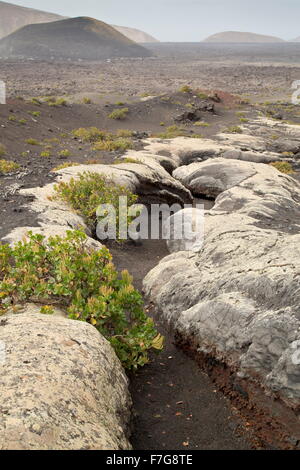 La cueva canal de Pico partido, - un antico flusso di lava e tunnel, - nel Parco Nazionale di Timanfaya / Parque Nacional de Timanfaya, Foto Stock