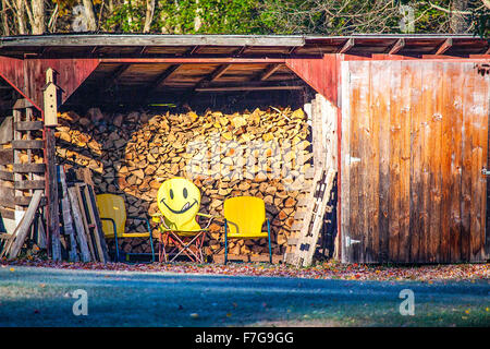 Panorama di una legnaia in New Hampshire, Stati Uniti d'America con tre sedie di colore giallo all'interno, uno ha una faccia felice gli Emoji dipinta sul suo retro. Foto Stock