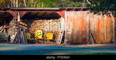 Panorama di una legnaia in New Hampshire, Stati Uniti d'America con tre sedie di colore giallo all'interno, uno ha una faccia felice gli Emoji dipinta sul suo retro. Foto Stock