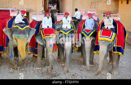 Gli elefanti in attesa per i turisti, Forte Amber Ambra Palace Jaipur, Rajasthan, India Foto Stock