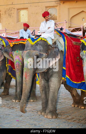 Gli elefanti in attesa per i turisti per portarli al Forte Amber, Amer 11km da Jaipur, Rajasthan, India Foto Stock