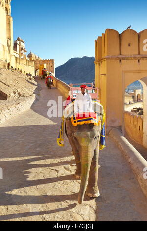 Forte Amber Ambrt Palace - mahout e il suo elephant (Elephas maximus) sulla via del ritorno da Jaipur Forte Amber, Rajasthan, India Foto Stock