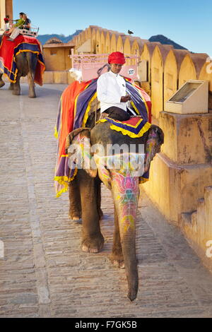 Elefante colorato (Elephas maximus) sulla strada di ritorno dal forte di Amber a Jaipur, Rajasthan, India Foto Stock
