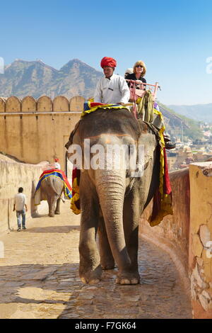 I turisti a cavallo di un elefante (Elephas maximus) al Forte Amber Ambra Palace, Amer 11km da Jaipur, Rajasthan, India, Asia Foto Stock