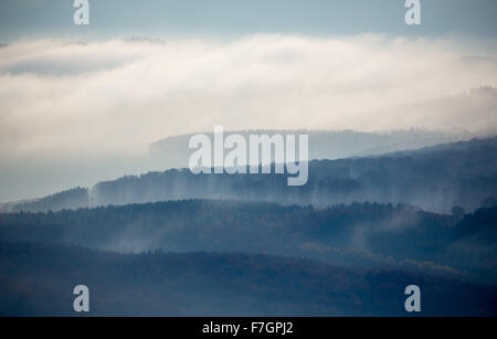 Le foreste del medio Reno Taunus nella nebbia, Taunus, Foresta, Dachsenhausen, Valle del Reno, Renania-Palatinato, Germania Europa, Foto Stock