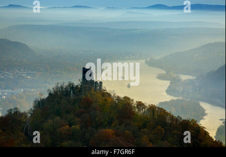 Drachenfels rovine del castello, prima che il panorama sul Reno, Valle del Reno, sul Reno e colorati di caduta delle foglie, autunno foresta, Koenigswinter, Foto Stock