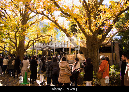 Meijijingu Gaien Ginkgo festival ,Tokyo Giappone Foto Stock