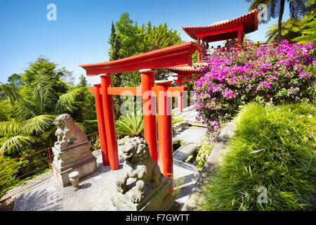 Giapponese giappone oriental giardino tropicale - Monte Isola di Madeira, Portogallo Foto Stock