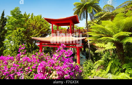 Giappone giapponese oriental flower garden Monte Palace Tropical Garden - Isola di Madeira, Portogallo Foto Stock