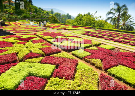 Isola di Madeira - Giardino Botanico, Funchal, Portogallo Foto Stock