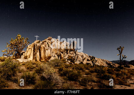 WWI Memorial brilla al chiaro di luna Foto Stock