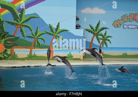 Dolphin Dance in ritmo Foto Stock