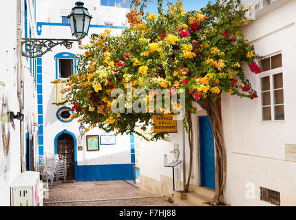 Fiori che sbocciano in centro storico di Albufeira, Algarve, PORTOGALLO Foto Stock