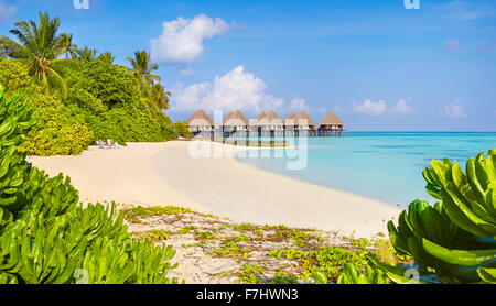 Spiaggia tropicale a isole delle Maldive, atollo di Ari Foto Stock