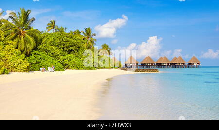 Isole Maldive, spiaggia tropicale Foto Stock