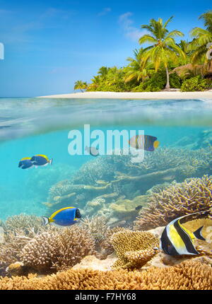 Spiaggia tropicale a Isole Maldive Foto Stock