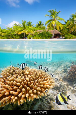 Tropical Beach e vista subacquea con barriera corallina e pesci, Isole Maldive Foto Stock