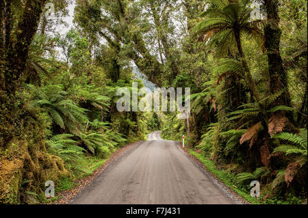 Avvolgimento su strada di ghiaia attraverso la foresta di pioggia in Glacier Country, nella costa occidentale dell'Isola del Sud, Nuova Zelanda Foto Stock