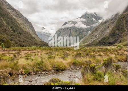 Parco Nazionale di Fiordland, Isola del Sud, Nuova Zelanda Foto Stock