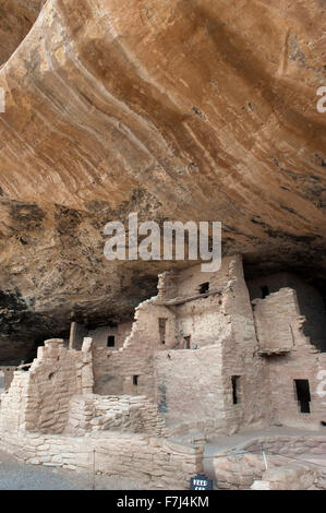 Cliff Palace, Mesa Verde National Park, COLORADO, Stati Uniti d'America Foto Stock