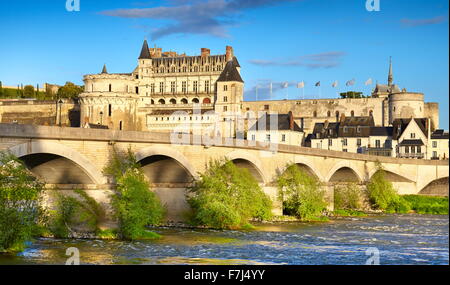 Castello di Amboise, valle della Loira, Francia Foto Stock