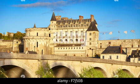 Castello di Amboise, valle della Loira, Francia Foto Stock