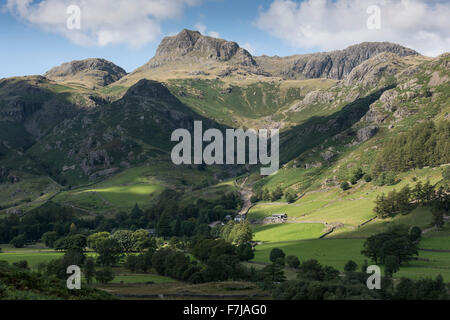 Nel Lake District inglese. Guardando attraverso il Langdale Valley al Langdale Pikes sull'altro lato. Foto Stock