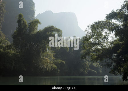 Il bambù e il Calcare formazioni carsiche Fiume Li Regione Guilin Guangxi, Cina LA008260 Foto Stock