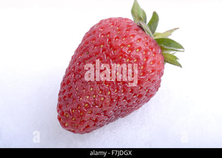Close up fragola, food concept Foto Stock