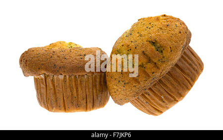 Una coppia di pane appena sfornato di pepe al limone colazione muffin isolato su uno sfondo bianco. Foto Stock