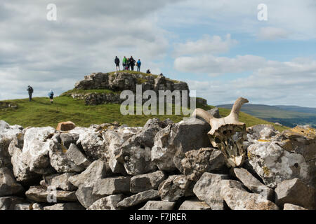 Yorkshire Dales paesaggi di pietra calcarea - persone a stare in piedi sulla parte superiore della torta Conistone (sperone roccioso) ammirando il panorama. Pecore di cranio su un muro! Inghilterra, GB, UK. Foto Stock