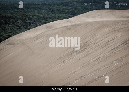 Vista dalla duna di Pilat - la più grande duna di sabbia in Europa, Aquitaine, Francia Foto Stock